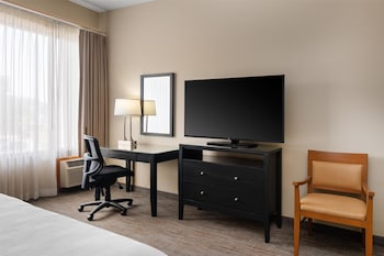 Executive Room, 1 King Bed (No pets/No guests under 21)