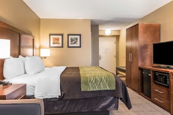 Room, 1 King Bed with Sofa bed, Accessible, Non Smoking