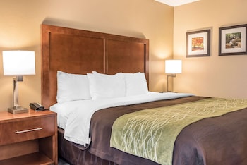 Standard Room, 1 King Bed, Non Smoking