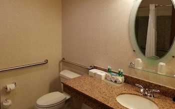 Standard Room, 1 King Bed, Accessible (Mobility)