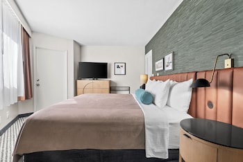 Suite, 1 Bedroom