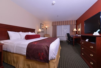 Standard Room, 1 King Bed, Non Smoking, Refrigerator & Microwave
