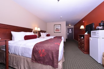 Standard Room, 2 Queen Beds, Non Smoking, Refrigerator & Microwave