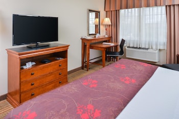 Standard Room, 1 King Bed, Non Smoking, Refrigerator & Microwave