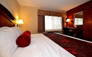 Junior Suite, 1 King Bed, Non Smoking, Refrigerator & Microwave