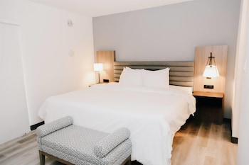 Deluxe Suite, 1 King Bed, Non Smoking