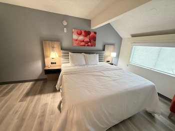 Room, Multiple Beds, Non Smoking (Deluxe Penthouse Suite)