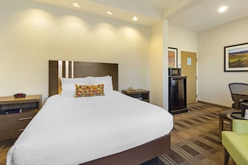 Standard Room, 1 Queen Bed, Non Smoking, Refrigerator & Microwave