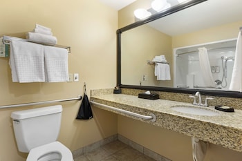 Standard Room, 1 King Bed, Accessible, Refrigerator & Microwave