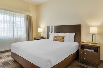 Standard Room, 1 Queen Bed, Non Smoking, Refrigerator & Microwave