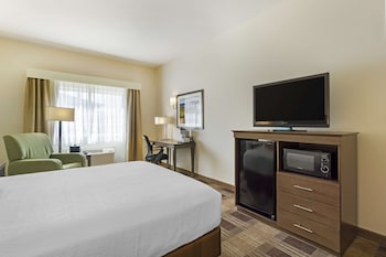 Standard Room, 1 Queen Bed, Accessible, Refrigerator & Microwave
