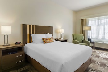 Standard Room, 1 Queen Bed, Accessible, Refrigerator & Microwave