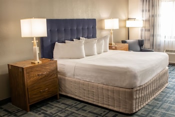 Accessible Room, 1 King Bed with Roll-in Shower