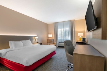Standard Room, 1 King Bed, Non Smoking