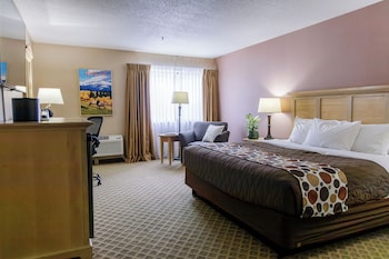 Room, 1 King Bed (Downstairs)