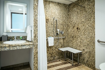 Room, 1 King Bed, Oceanfront (Ada,Pet Friendly)