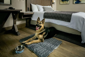 Deluxe Room, 1 King Bed, Oceanfront