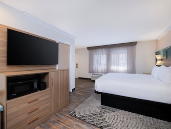 Standard Room, 1 King Bed (Pet Friendly)