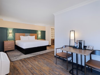 Standard Room, 1 King Bed (Pet Friendly)