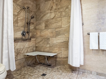 Premium Room, 1 King Bed, Roll-in Shower (Communications, Mobility)