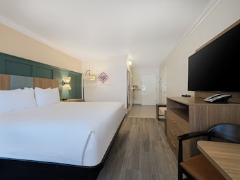 Standard Room, 1 King Bed, Roll-in Shower (Communications, Mobility)