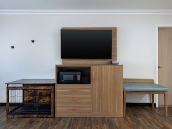 Premium Room, 2 Queen Beds (Pet Friendly)