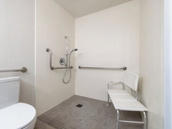 Standard Room, 1 King Bed, Roll-in Shower (Communications, Mobility)