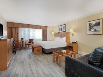 Premium Room, 1 King Bed, Roll-in Shower (Communications, Mobility)