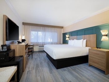 Standard Room, 1 King Bed, Roll-in Shower (Communications, Mobility)