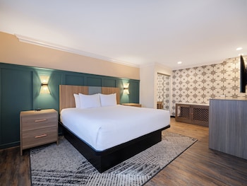 Standard Room, 1 King Bed (Pet Friendly)