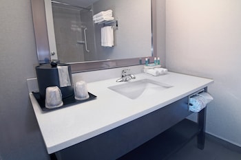 Standard Room, 1 King Bed with Sofa bed