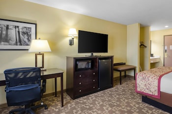 Standard Room, 1 Queen Bed, Non Smoking