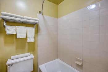 Standard Room, Multiple Beds, Non Smoking, Refrigerator & Microwave (Larger Room)