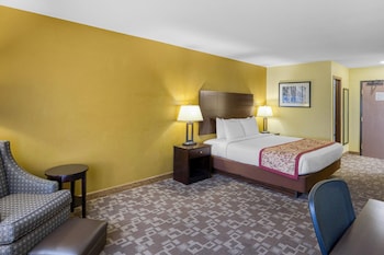 Standard Room, 1 King Bed, Non Smoking