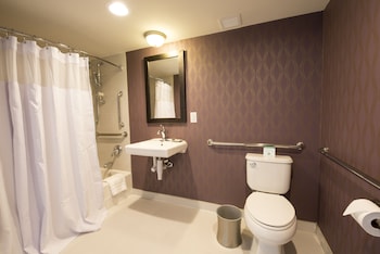 Standard Room, 1 King Bed, Accessible (Mobility, Accessible Tub)