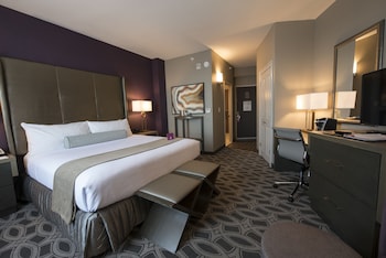 Standard Room, 1 King Bed, Accessible (Mobility Roll-In Shower)