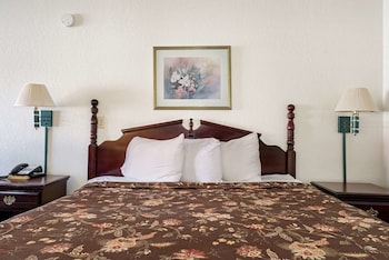 Room, 1 King Bed, Non Smoking