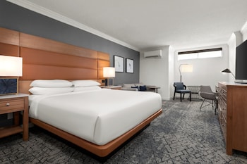 Room, 1 King Bed with Sofa bed