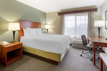 Standard Room, 1 King Bed, Non Smoking, Refrigerator & Microwave
