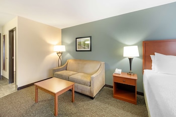 Standard Room, 1 King Bed, Non Smoking, Refrigerator & Microwave