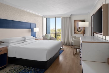 Room, 1 King Bed (Mobility Accessible, Roll-In Shower)