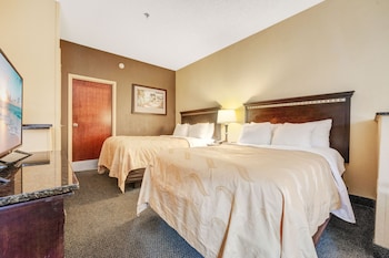 Studio Suite, 2 Queen Beds