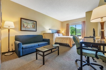 Studio Suite, 1 King Bed with Sofa bed