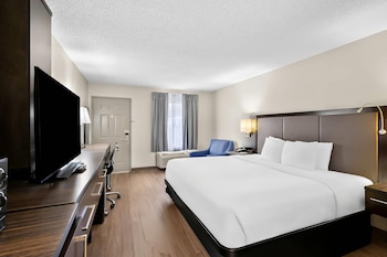 Standard Room, 1 King Bed, Non Smoking