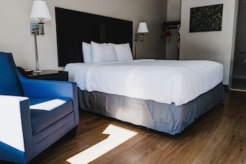 Room, 1 King Bed, Accessible, Non Smoking