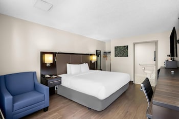 Room, 1 King Bed, Accessible, Non Smoking