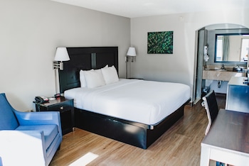 Standard Room, 1 King Bed, Non Smoking