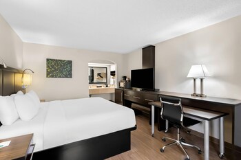 Standard Room, 1 King Bed, Non Smoking