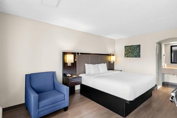 Standard Room, 1 King Bed, Non Smoking