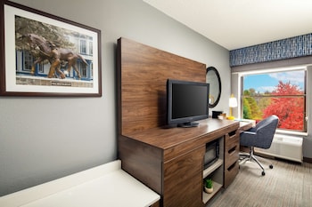 Room, 1 Queen Bed, Non Smoking